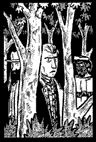Pickle 9 vision panel 5cm.GIF (4634 bytes)